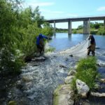 River Authority Environmental Sciences field staff conducting a fish survey.