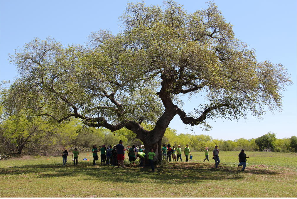 Park visitors gather at John William Helton San Antonio River Nature Park in Wilson County