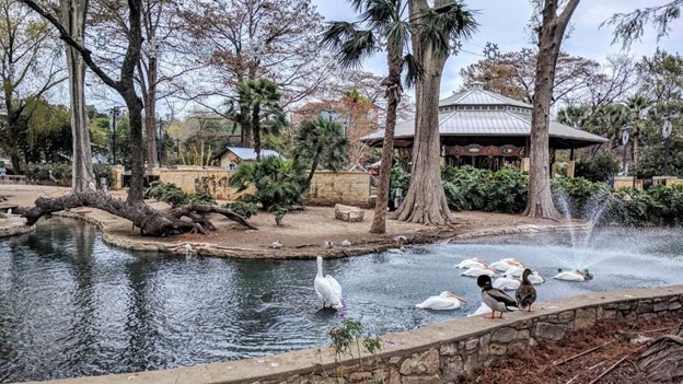 San Antonio Zoo Pond and gazebo 