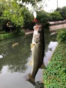 A caught fish hangs from a fishing rod in front of the River walk.