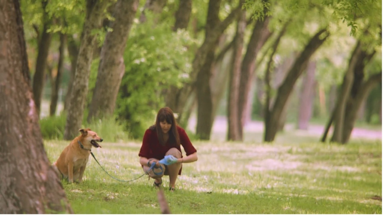 Woman kneels down in park while next to dog to pick up canine waste.