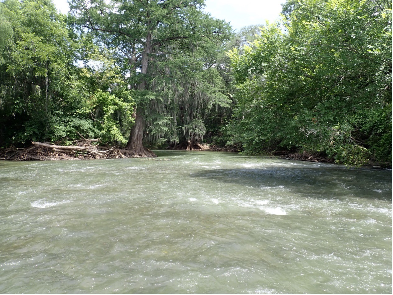 The San Antonio River at Conquista Crossing (Upper San Antonio River Watershed) is one of the sites where ESD biologists conduct field surveys (SARA Site 16580 on the map below).