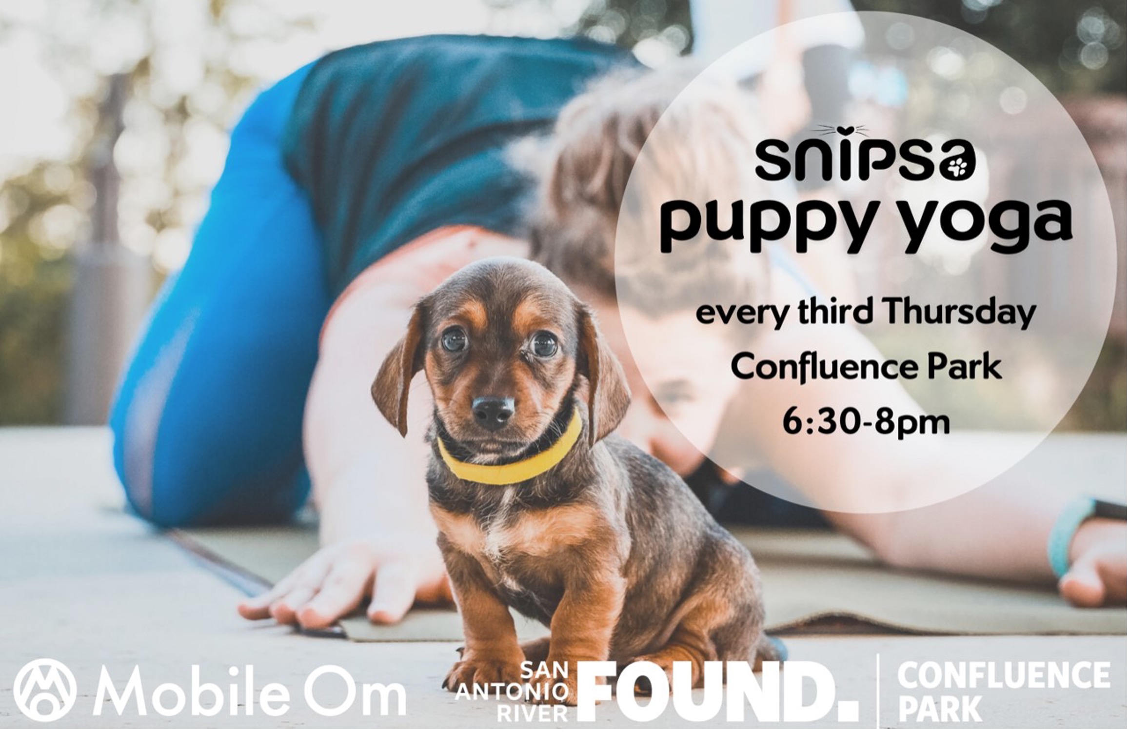 SNIPSA Puppy Yoga. Every Third Thursday at Confluence Park from 6:30-8PM.