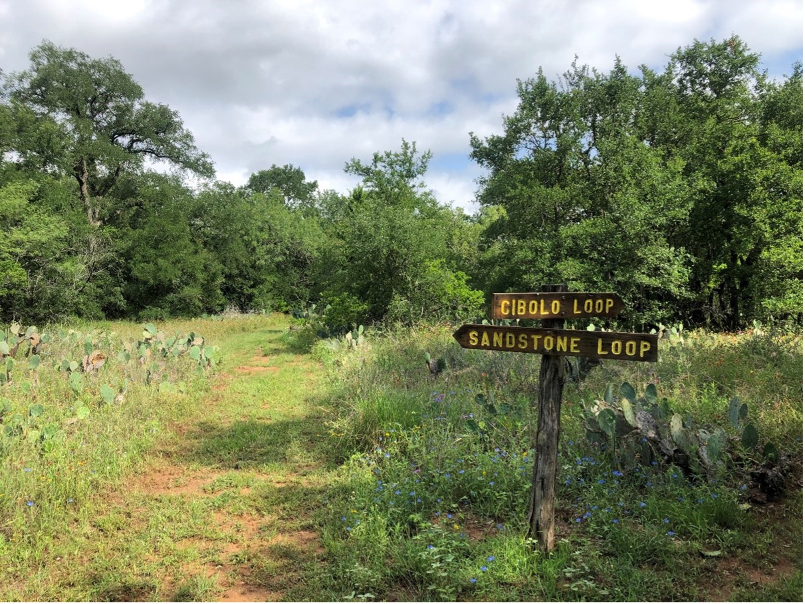 Trailhead at Jackson Nature Park. Sign reads 