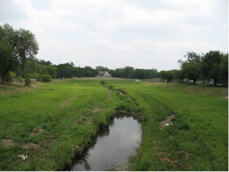 Westside Creeks Martinez Creek