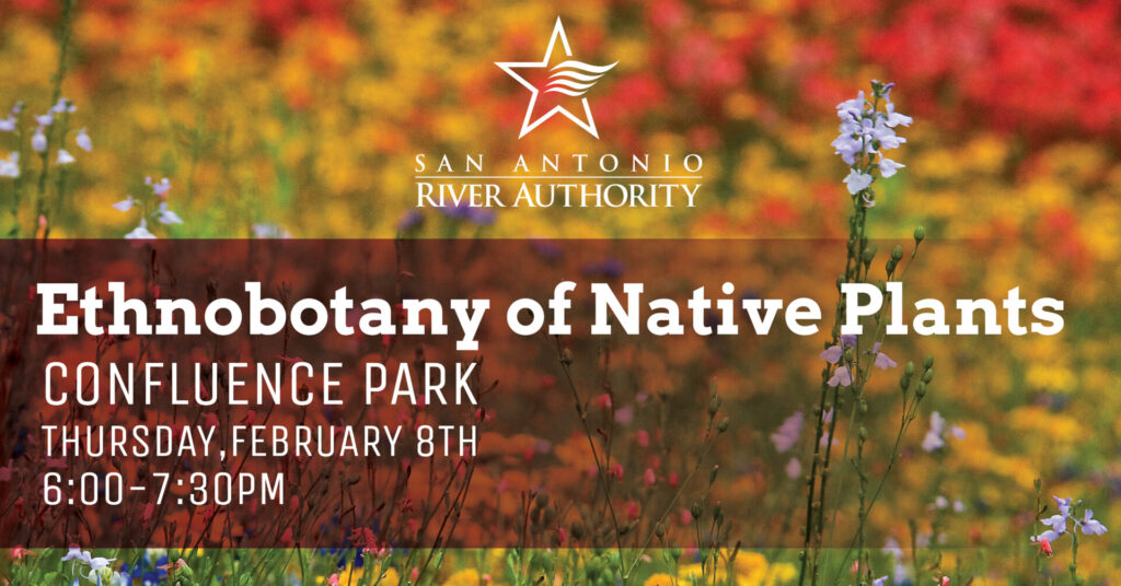 Ethnobotany of Native Plants event banner