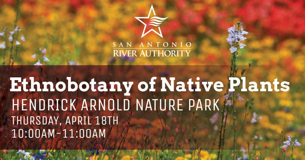 Ethnobotany of Native Plants at Hendrick Arnold Nature Park