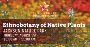 Ethnobotany of Native Plants Jackson Nature Park