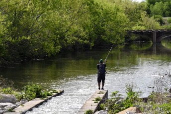 A man fishing in the river.
