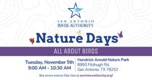 Nature Days - All About Birds