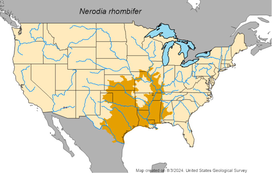 Map of the United States showing where Diamondback water snakes are primarily found.