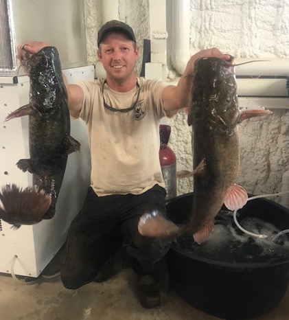 A man holds up two fish.