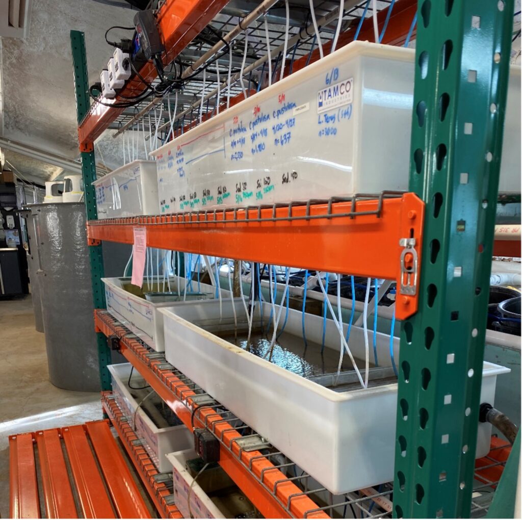 Metal shelves filled with water chamber crates