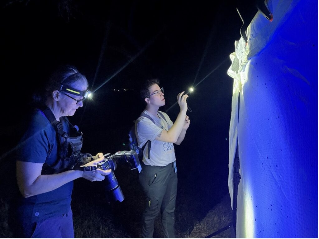 Two people shine flashlights on a wall for bioblitz