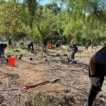 River Warrior volunteers spread out in an open field to collect trash.