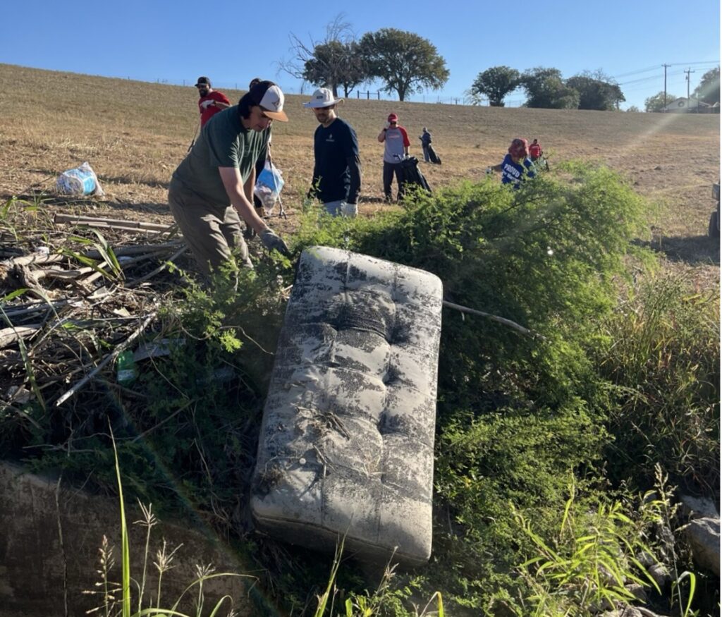 A volunteer pulls out an old mattress from shrubs.