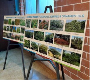 A groups of posters on easels showing different native vegetation.