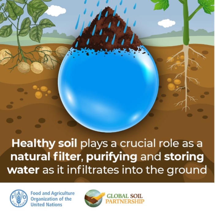 Large water droplet explaining how water impacts soil health