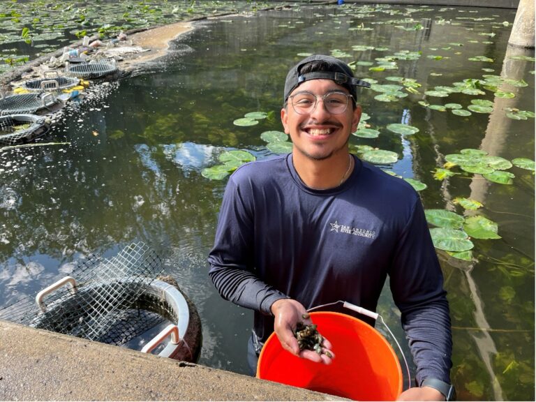 Scientist holds handfuls of mussels in his hands