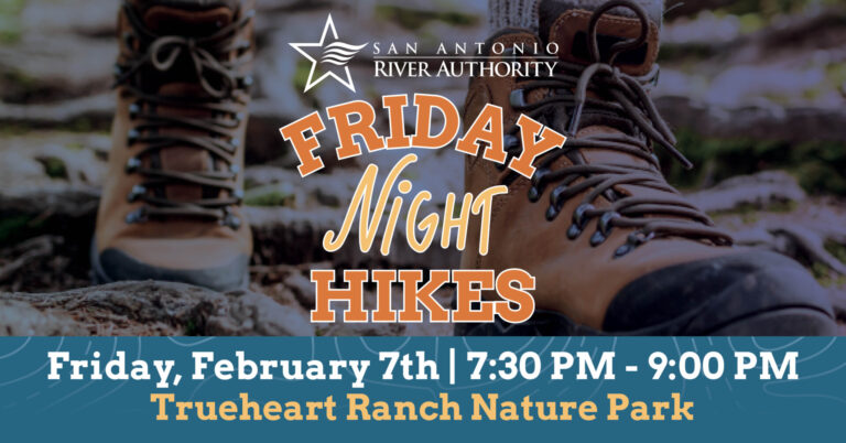 Friday Night Hikes Promotional Image