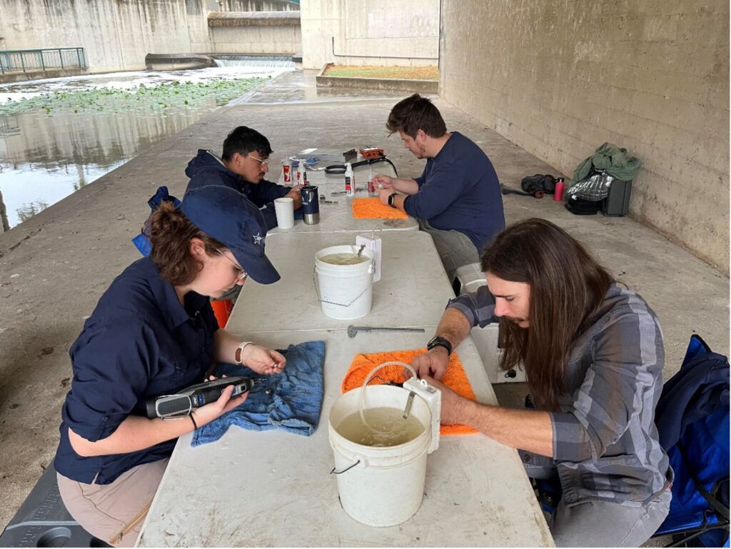 A group of scientists tag mussels