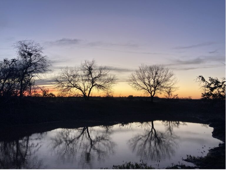 Sun sets along a pond in Karnes County