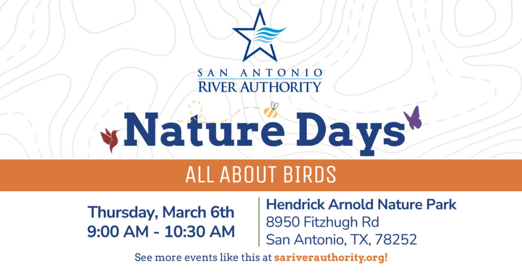 Nature Days - All About Birds promotional image